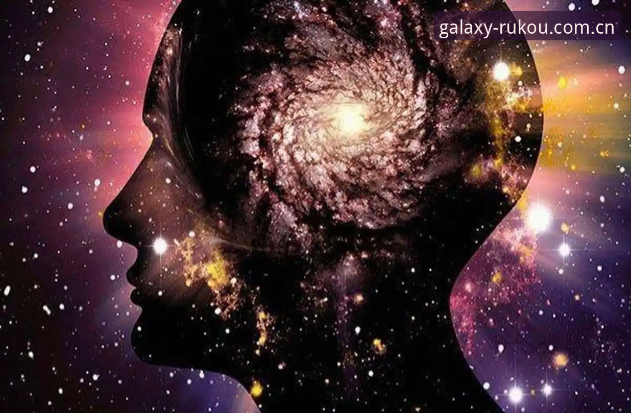 星空入口赛事数据站选择 揭秘星空入口赛事数据站选择的底层逻辑,你想不到的数据真相